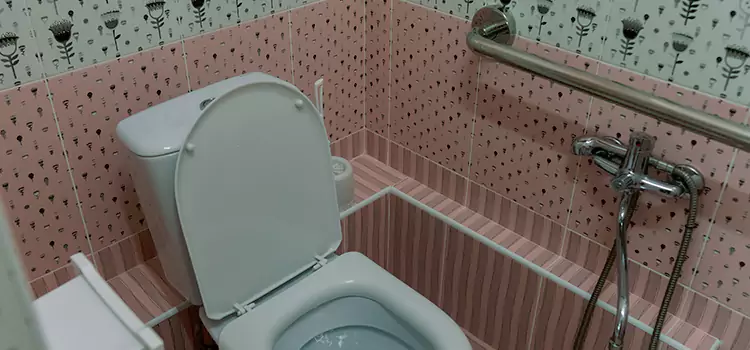 Meeting Diverse Needs With Accessible Restroom Solutions in Sainte-Julienne, QC